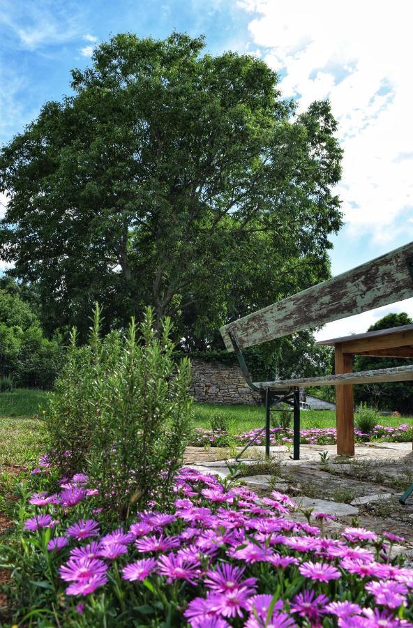 Cottage Al Merlo Olivo Буйе Экстерьер фото